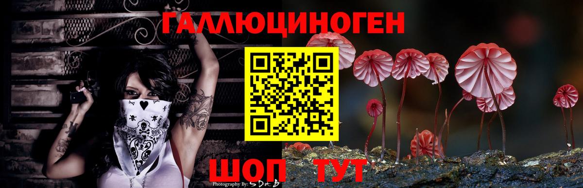 Псилоцибиновые грибы мицелий Горно-Алтайск